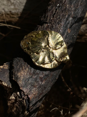 ORQUÍDEA - BRASS