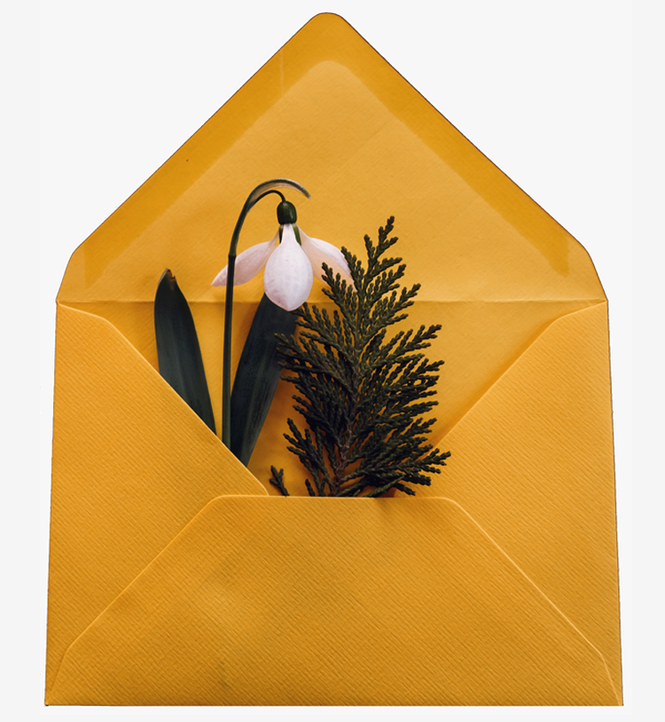 True2U Lifestyle Gift Cards