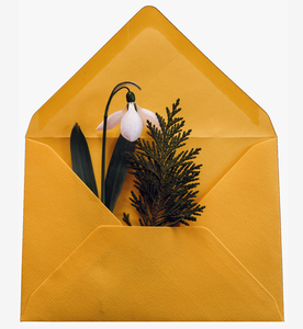 True2U Lifestyle Gift Cards